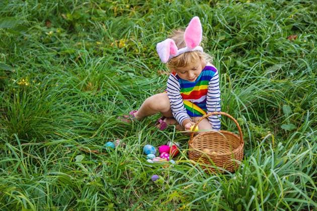 IMAGO Creative, Ostern, Bräuche, Eiersuche #2 A child collects Easter eggs in the grass. Selective focus. Kid., model released, , 58357818.jpg, easter, spring, child, eggs, hunt, game, colorful, childhood, grass, holiday, concept, outside, fun, outdoors, park, garden, happy, kid, background, gathering, lawn, girl, egg, food, tradition, celebrate, collecting, little, symbol, decoration, traditional, looking, family, basket, play, meadow, children, copy space, banner, search, painted, greeting, growth, entertainment, gift, green, person, picking up, rabbit, religion RECORD DATE NOT STATED