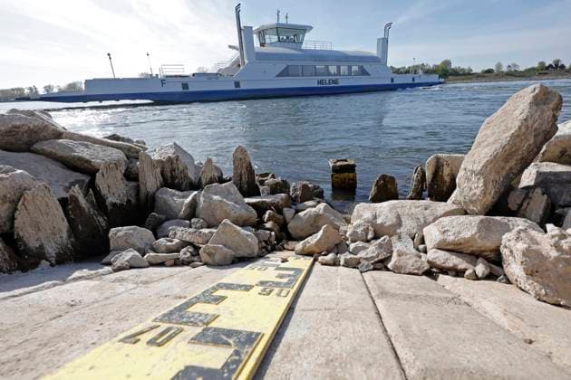 News Themen der Woche KW15 News Bilder des Tages Frühjahrsdürre im März und April 2025 11.04.2025 Niedriger Flusspegel des Rhein bei Gernsheim wegen fehlendem Regen Niederschlag hier unter der Marke 0,4m Gernsheim Hessen Deutschland *** Spring drought in March and April 2025 11 04 2025 Low river level of the Rhine at Gernsheim due to lack of rain Precipitation here below the 0.4m mark Gernsheim Hesse Germany