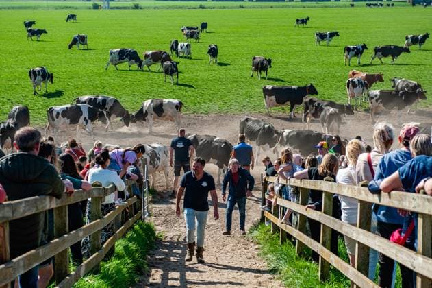 April 12, 2025, Arnhem, Netherlands: A farmer is seen happy with the event. Each year, farms throughout the Netherlands pick a date to let their cows out into the pastures and announce it to the public so people can enjoy the cows sprinting towards the green pastures. In Dutch, this is also known as the ˜koeiendans™ (cows dancing), which is the frolic jumping, twirling, and running of cows let out in the meadows for the first time in spring. Arnhem Netherlands - ZUMAs197 20250412_aab_s197_049 Copyright: xAnaxFernandezx