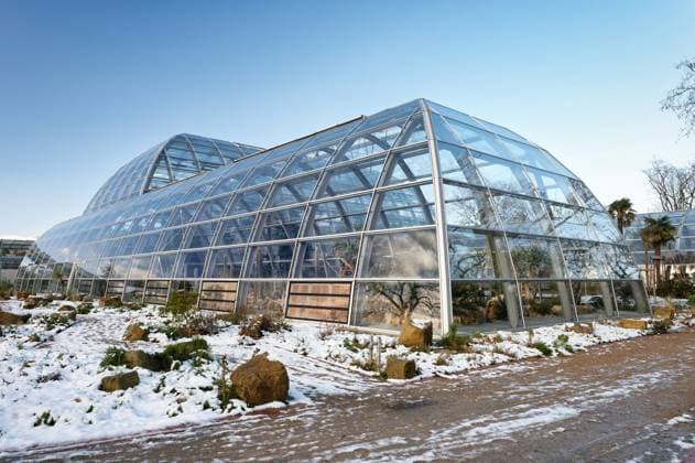 Creative Highlights World Köln, Deutschland 10. Januar 2025: Der Neubau der Schaugewächshäuser im Botanischen Garten nach einem Schneefall in Köln *** Cologne, Germany 10 January 2025 the New building the Show greenhouses at Botanical Garden to a Snowfall in Cologne 1133500023