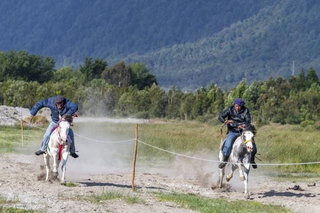 Zwei Männer galoppieren nebeneinander auf ihren Pferden bei einem Pferderennen von Gauchos, Dorf Chaiten, Nationalpark Pumalin-Douglas Tompkins, Chaiten, Region Los Lagos, Patagonien, Chile, Südamerika Two men galloping side by side on their horses at a gaucho horse race, Chaiten village, Pumalin-Douglas Tompkins National Park, Chaiten, Los Lagos region, Patagonia, Chile, South America Copyright: imageBROKER OliverxGerhard ibxoge13094772.jpg