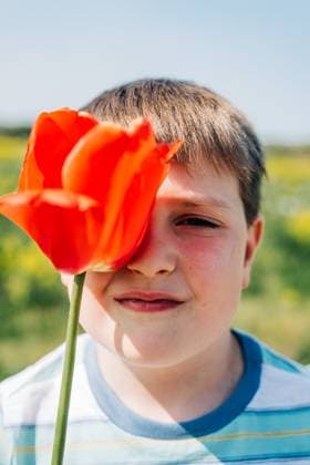 Creative Highlights Symbolfotos Boy playfully holds red tulip over one eye in sunlight Ipswich, Massachusetts, United States CR_FKNH250409-1698970-01 ,model released, Symbolfoto