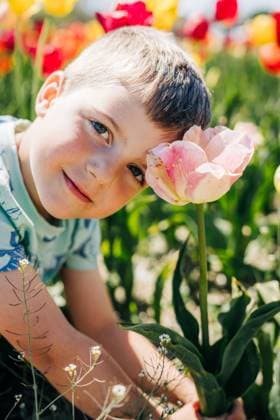 Creative Highlights Symbolfotos Boy smiling beside a pink tulip in a sunny flower field Ipswich, Massachusetts, United States CR_FKNH250409-1699007-01 ,model released, Symbolfoto