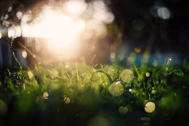 Water droplets on grass lit up by golden sun Tulsa, Oklahoma, United States R_KRRY250412-1661773-01