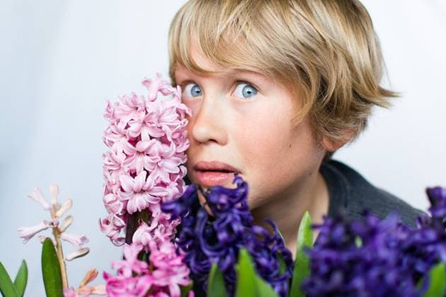 Creative Highlights Symbolfotos Blonde boy posing with silly face with hyacinth blooms Syracuse, Utah, United States R_WMWJ250414F-1637188-01 ,model released, Symbolfoto