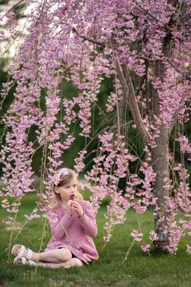 Creative Highlights Symbolfotos Girl in pink dress eats lollipop near blooming cherry blossoms Portsmouth, New Hampshire, United States R_MJOR250414-1702341-01 ,model released, Symbolfoto