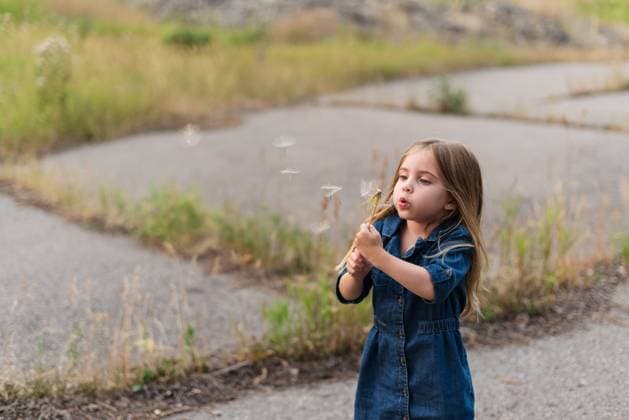 Creative Highlights Symbolfotos Playful little girl blows dandelion seeds into the air Canada, British Columbia, Sparwood R_PKZL250414-1702637-01 ,model released, Symbolfoto