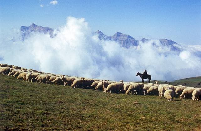 Archivbilder der Woche KW16 Kabardino-Balkar ASSR, USSR. RSFSR. Senior shepherd of the kolkhoz (collective farm) Put k Kommunizmu (Path to Communism), one of the best cattle breeders of the Kabardino-Balkar ASSR, Hero of Socialist Labour, knight of the Order of Lenin and the Order of the Red Banner of Labour, deputy of the Supreme Soviet of the USSR Salikh Attoev herds a flock on a high-mountain pasture in the alpine meadow zone in Sovetsky District. Rudolf Dik TASS  1411005