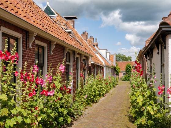 Die kleine Straße mit Stockrosen in Garnwerd, Westerkwartier, Groningen, ist die schmalste mit dem Auto befahrbare Straße der Niederlande Small street with hollyhocks, Burgemeester Brouwersstraat in Garnwerd, Westerkwartier, Groningen, is the narrowest car-accessible street in the Netherlands (License=RF) Copyright: xZoonar.com (c)xJeannettexTasx 23169283