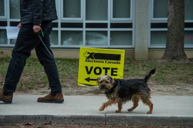 Parlamentswahl in Kanada, Vorwahlen April 18, 2025, Toronto, On, CANADA: Elections Canada signage is seen at an advance polling location, in Toronto, Friday, April 18, 2025. Toronto CANADA  - ZUMAc35_ 20250418_zaf_c35_017 Copyright: xLauraxProctorx