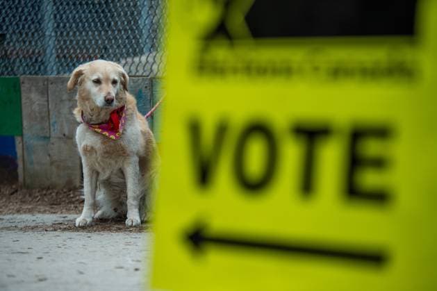 News Themen der Woche KW16 News Bilder des Tages Parlamentswahl in Kanada, Vorwahlen April 18, 2025, Toronto, On, CANADA: Elections Canada signage is seen at an advance polling location, in Toronto, Friday, April 18, 2025. Toronto CANADA  - ZUMAc35_ 20250418_zaf_c35_025 Copyright: xLauraxProctorx