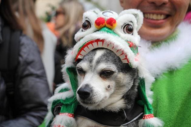 Entertainment Themen der Woche KW16 Entertainment Bilder des Tages April 20, 2025, Manhattan, New York, U.S.A: New York , New York April 20 .2025.Each year on Easter, celebrants don festive finery and show off their very best bonnets along Fifth Avenue. he pageant is a New York City tradition that stretches back to the 1870s. Manhattan U.S.A - ZUMAc272 20250420_znp_c272_029 Copyright: xEmilyxCotlerx