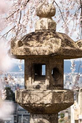 Cherry blossom framing a Japanese lantern during spring Kyoto, Kyoto, Japan R_DWQE250416-1707098-01