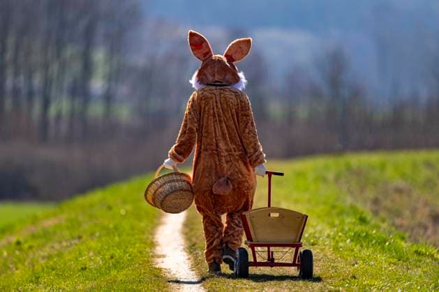 News Themen der Woche KW17 News Bilder des Tages 21.04.2025, Osterfest in Bad Wörishofen im Unterallgäu. Ein Lebensgroßer Osterhase läuft über die Wiese, Der Leiterwagen ist schon leer, alles fertig verteilt, nun geht er nach Hause. Ostern ist wieder vorbei für dieses Jahr In dem Osterhäschen-Gewand steckt der Türkheimer Gerhard Müller. 21.04.2025, Osterfest in Bad Wörishofen 21.04.2025, Osterfest in Bad Wörishofen *** 21 04 2025, Easter in Bad Wörishofen in Unterallgäu A life-size Easter bunny runs across the meadow, The cart is already empty, everything is distributed, now he goes home Easter is over again for this year Gerhard Müller from Türkheim is in the Easter bunnys robe 21 04 2025, Easter in Bad Wörishofen 21 04 2025, Easter in Bad Wörishofen