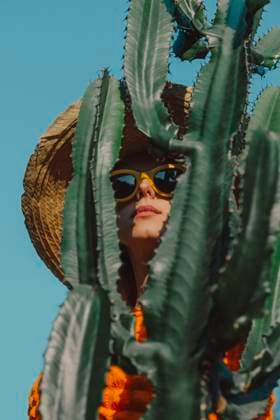 Creative Highlights Symbolfotos Woman in sunglasses and straw hat behind cactus on a sunny day model released, Symbolfoto, VSNF03031