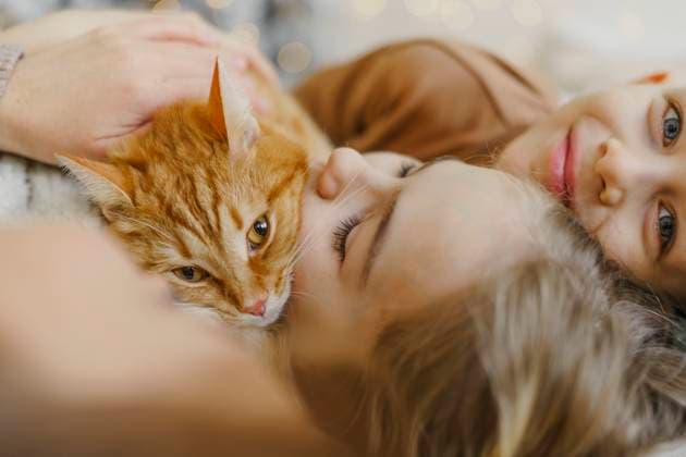 Creative Highlights Symbolfotos Family hugging a red cat with Christmas illumination in the background model released, Symbolfoto property released, VBUF00661