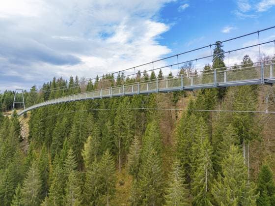 Weitläufige Aussicht auf eine Hängebrücke die durch einen Wald verläuft, Wildline Hängebrücke, Bad Wildbad, Schwarzwald, Deutschland, Europa Extensive view of a suspension bridge that runs through a forest, Wildline Suspension Bridge, Bad Wildbad, Black Forest, Germany, Europe Copyright: imageBROKER ManuelxKamuf ibxmlk13213900.jpg