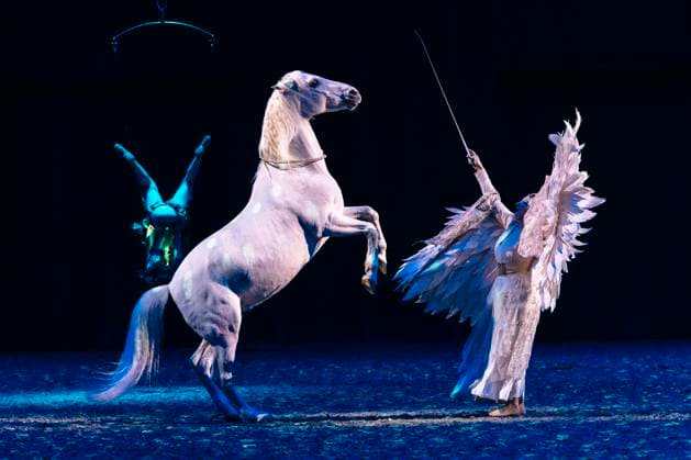 Entertainment Themen der Woche KW17 Entertainment Bilder des Tages Pferdeshow Cavalluna - Grand Moments mit Reitkunst, Aktobatik und Tanz in der Messehalle. Erfurt, 26.04.2025 *** Cavalluna Grand Moments horse show with equestrian art, actobatics and dance in the Erfurt exhibition hall, 26 04 2025 Foto:xM.xKremerx xFuturexImagex cavalluna_5407