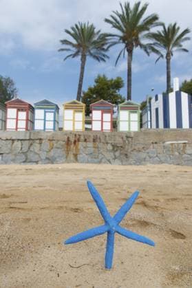 Bunte Holzhütten am Strand mit blauen Seesternen davor Colorful wooden beach cabins with blue starfish in front Copyright: imageBROKER IvonnexWierink ibxiqx13137936.jpg