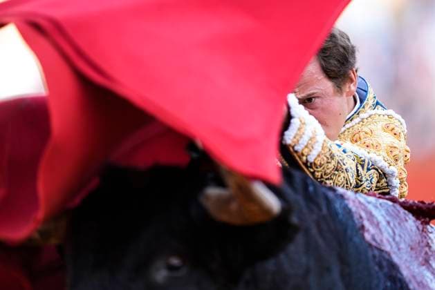 News Themen der Woche KW18 News Bilder des Tages Fourth bullfight in the Maestranza The bullfighter, Román Collado, on April 29, 2025 in Seville Andalusia, Spain In the fourth bullfight of the season in the Plaza de la Real Maestranza, the bullfighters Curro Díaz, Rubén Pinar and Román Collado are the protagonists 29 APRIL 2025 Sevilla Andalucia Sevilla Andalucia Espana  Copyright: xJoaquinxCorcherox 6686584