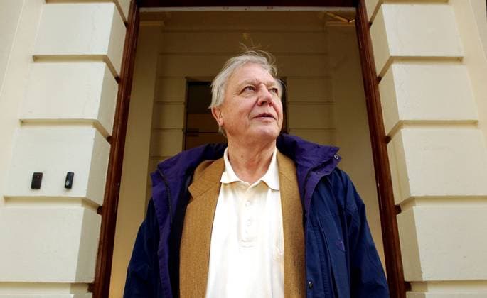 Sir David Attenborough leaving the Royal Society this afternoon after a celebration was held for his 50th year of broadcasting. 31 October 2002 photo Andy Paradise Copyright: xAndyxParadisex DMGTCHPDPICT000377117879