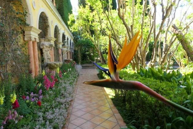 Villa et jardins Ephrussi de Rothschild Sylvestre MAXPPP saint jean cap ferrat France 30 04 2025 villa ephrussi de rothschild, jardin,espagnol A palace built during the Belle Epoque and its magnificent gardens Located between Nice and Monaco, overlooking the Mediterranean, the Villa Ephrussi de Rothschild is a magnificent palace surrounded by nine themed gardens French garden, Spanish garden, Florentine garden, lapidary garden, Japanese garden, exotic garden, Provencal garden, roseraie Villa et jardins Ephrussi de Rothschild Saint Jean Cap Ferrat France April 30 2025 A villa built during the Belle Epoque and its magnificent gardens Located between Nice and Monaco, overlooking the Mediterranean, the Villa Ephrussi de Rothschild is a magnifi  Copyright: xMAXPPPxSylvestrex SYL202504306153 SYL202504306153