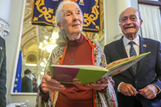 May 2, 2025: May 2, 2025 (malaga) Doctor Jane Goodall has appeared at the MoÂ¡laga City Hall, together with the mayor of MoÂ¡laga, Francisco de la Torre, and Jane Goodall in Spain, to present the conference Hope in action at the Cine Albo niz, in which will be the only conference of his world tour given in Spain With respect to chimpanzees, one of the great fields that has dedicated her career to the ethologist, he recalled how the treatment of these animals has changed since she began to investigate them - ZUMAc161 20250502_zap_c161_019 Copyright: xLorenzoxCarnerox