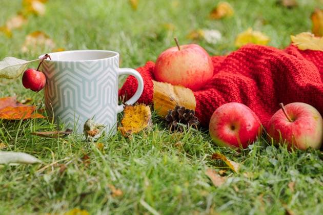 Herbst Zusammensetzung auf Licht Natur Hintergrund. Offenes Buch, Tasse heißer Tee und kuscheligen Pullover auf Herbst Gras mit Blättern im Park. Autumn composition on light nature background. Open book, cup of hot tea and cozy sweater on autumn grass with leaves in park. High quality photo (License=RF) Copyright: xZoonar.com LARISAxSHPINEVAx 23326195