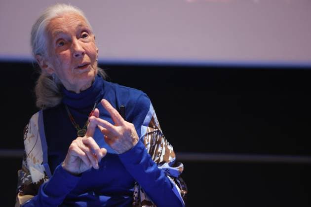 May 2, 2025: May 2, 2025 (malaga)Malaga hosts the only conference in Spain of Doctor Jane Goodall within her world tour with a no tickets. - ZUMAc161 20250502_zap_c161_049 Copyright: xLorenzoxCarnerox