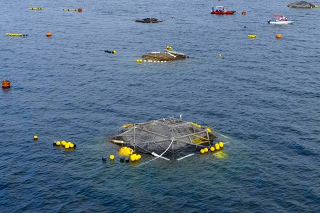 Fischzucht im Meer. Ansicht der Fischfarm von oben. Fischzucht im Meer. Ansicht der Fischfarm von oben. (License=RF) Copyright: xZoonar.com LiudmilaxYagovitinax 23368725