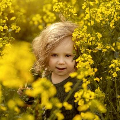 Creative Highlight Symbolbilder toddler girl in rapeseed field Corby, England, United Kingdom R_JNDO250430B-1702228-01 ,model released, Symbolfoto