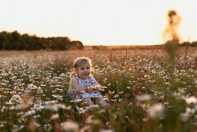 Creative Highlight Symbolbilder Smiling girl in blue dress sitting in daisy field, looking up Corby, England, United Kingdom R_JNDO250502B-1702209-01 ,model released, Symbolfoto