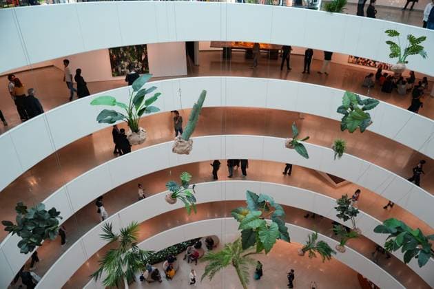 Entertainment Themen der Woche KW19 NEW YORK, NY - MAY 06: A group of plants apparently floating in mid-air are on display during the major solo exhibition A Poem for Deep Thinkers of work by Rashid Johnson at the Guggenheim on May 6, 2025 in New York.  Copyright: xChinaxNewsxServicex 111565805210