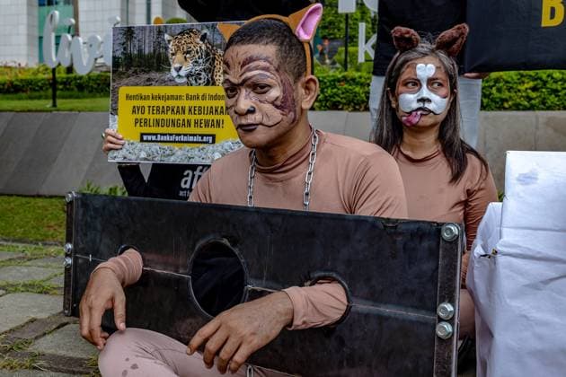 Animal Rights Protest Outside Bank Mandiri Headquarter Animal rights activists from Act for Farmed Animals stage a peaceful protest outside the headquarters of Bank Mandiri in Central Jakarta, Indonesia, on May 7, 2025. Activists paint their faces to represent six animals commonly used in farming, testing, and entertainment industries, while others hold placards, distribute leaflets, and display a banner reading: Banks in Indonesia, please act for animals. The protest coincides with the launch of the Banks for Animals 2025 report, which assesses the ethical standards of major Indonesian banks--Bank Mandiri, Bank Negara Indonesia, Bank Central Asia, Bank Syariah, and Bank Rakyat Indonesia--urging the financial sector to adopt stronger an  Copyright: xMasxAgungxWilisx originalFilename: baskoro-notitle230927_np4L7.jpg