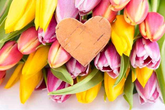 Glückwünsche mit frischen Blumen Glückwünsche und schöne Blumen *** Congratulations with fresh flowers Congratulations and beautiful flowers