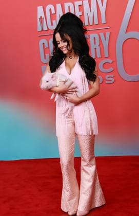 60th Academy of Country Music Awards - Arrivals Jessie Murph attends the 60th Academy of Country Music Awards at Omni Frisco Hotel at The Star on May 08, 2025 in Frisco, Texas. Frisco Omni Frisco Hotel at The Star Texas United States - USA Copyright: xOzziexB imageSPACEx