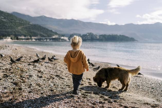 Creative Highlight Symbolbilder Kleines Mädchen steht mit einem Hund an einem Kieselstrand und schaut den Tauben zu. Rückansicht Little girl stands with a dog on a pebble beach and looks at the pigeons. Back view. Copyright: imageBROKER NadtochiyxVladimir ibxiqx13181470.jpg ,model released, Symbolfoto ,property released