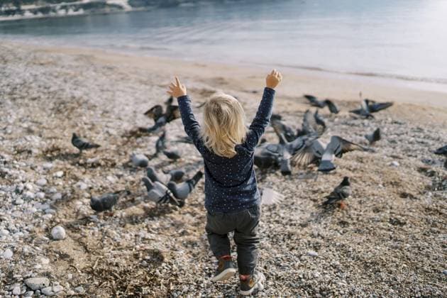 Creative Highlight Symbolbilder Kleines Mädchen geht mit erhobenen Händen am Meeresufer entlang zu den Tauben. Ansicht von hinten Little girl walks with raised hands along the seashore to the pigeons. Back view. Copyright: imageBROKER NadtochiyxVladimir ibxiqx13181866.jpg ,model released, Symbolfoto ,property released