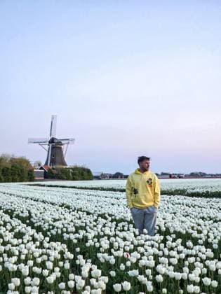 IMAGO Creative, Ostern, Bräuche, Osterspaziergang #2 Spaziergang durch weiße Tulpenfelder in der Nähe einer traditionellen Windmühle in den Niederlanden Amidst expansive fields filled with blooming white tulips, a man enjoys a peaceful walk near a classic Dutch windmill. (License=RF) ,model released, Symbolfoto Copyright: xZoonar.com FokkexBaarssenx 23394051 ,model released, Symbolfoto ,property released