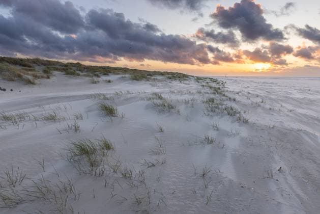 Norderney. 12 MAI 2025. Sonnenuntergang hinter den Dünen am Nordstrand von Norderney. OSTFRIESLAND. Ostfriesische Inseln. *** Norderney 12 MAY 2025 Sunset behind the dunes on the north beach of Norderney EAST FRIESLAND East Frisian Islands Copyright: JanisMEYER Priller&MAUG JMY2X1019X