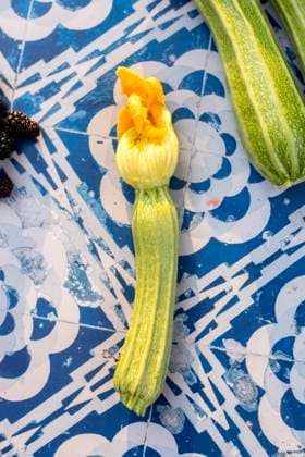 berries, zucchini and zucchini blossoms on blue tiles Boise, Idaho, United States R_LEROEZ250507-1716832-01