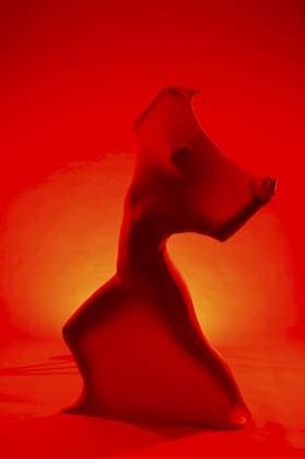 Creative Highlight Symbolbilder Abstrakte Silhouette einer Frau in rotem Licht, Studioaufnahme, Inszeniertes Fotoshooting, Mindelheim, Unterallgäu, Bayern, Deutschland, Europa Abstract silhouette of a woman in red light, studio shot, staged photo shoot, Mindelheim, Unterallgäu, Bavaria, Germany, Europe Copyright: imageBROKER JosefxSchafnitzel ibxtjm13367508.jpg ,model released, Symbolfoto ,property released