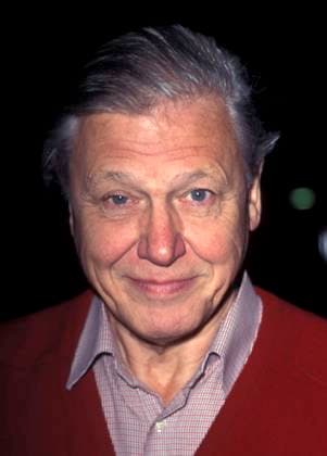 RECORD DATE NOT STATED DAVID ATTENBOROUGH Ref: 4665 smiling London Great Britain Copyright: xJamesxMcCauley CapitalxPicturesx