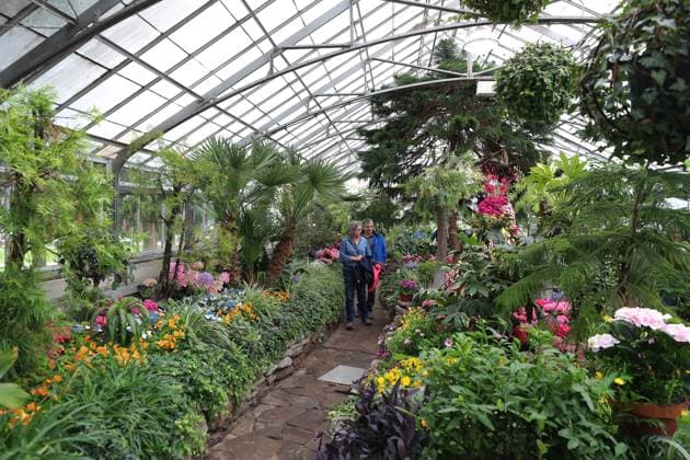 Allan Garden Reopening In Toronto, Canada People visit the Palm House at Allan Gardens Conservatory, which reopens to the public in Toronto, Canada, on May 14, 2025, after extensive restoration. Toronto Canada  Copyright: xArrushxChoprax originalFilename: chopra-notitle250515_npqUN.jpg