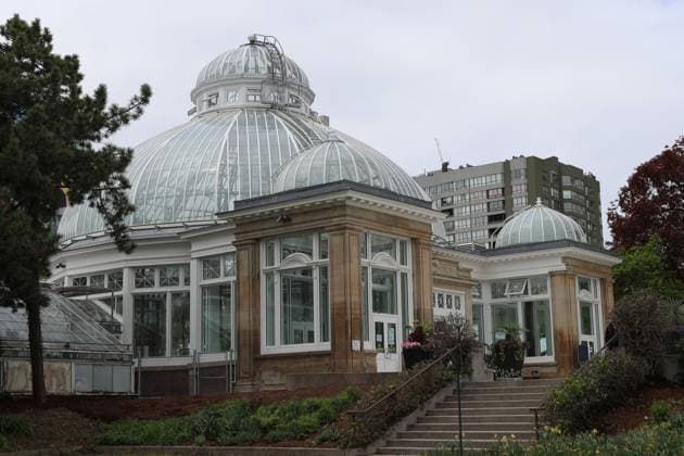 Allan Garden Reopening In Toronto, Canada People visit the Palm House at Allan Gardens Conservatory, which reopens to the public in Toronto, Canada, on May 14, 2025, after extensive restoration. Toronto Canada  Copyright: xArrushxChoprax originalFilename: chopra-notitle250515_npZgX.jpg
