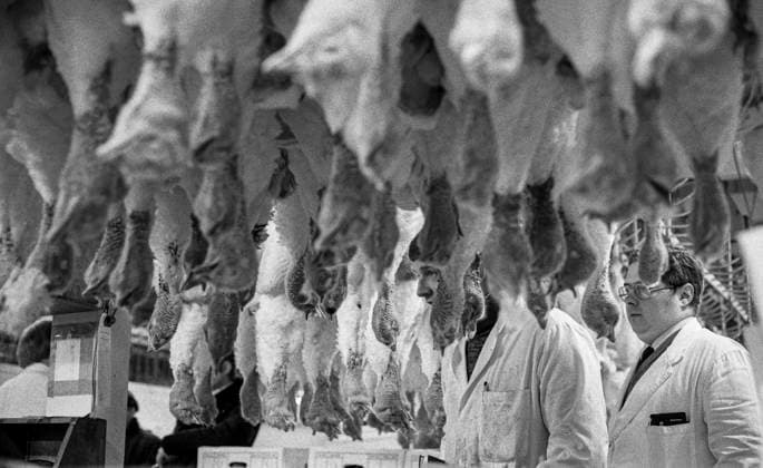 RECORD DATE NOT STATED Smithfield Meat Market, City of London, January 1980. Wholesale meat and poultry traders at work in Smithfield Meat Market, early morning. Copyright:xPeterxThompson HeritagexImagesxPeterxThompsonx IMAGO, ! ACHTUNG: AUFNAHMEDATUM GESCHÄTZT!  Copyright:PeterxThompson HeritagexImagesxPeterxThompsonx IMAGO