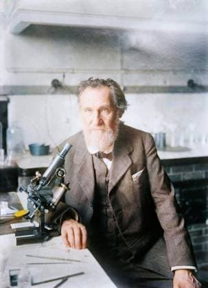 RECORD DATE NOT STATED Elie Metchnikoff, between c1910 and c1915. (Colorised black and white print). Copyright:xHeritagexArt HeritagexImagesxBainxNewsxServicex IMAGO, ! ACHTUNG: AUFNAHMEDATUM GESCHÄTZT!  Copyright:HeritagexArt HeritagexImagesxBainxNewsxServicex IMAGO