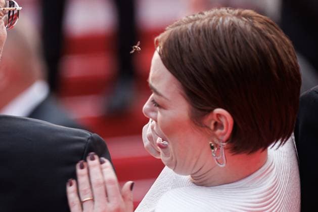Festival de Cannes - Eddington Premiere Emma Stone bei der Premiere zu Eddington während der 78. Filmfestspiele in Cannes im Palais de Festival am 16.05.2025. Copyright: xEventpressxKochanx