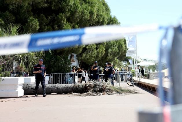 News Bilder des Tages PHOTOCALL FESTIVAL CANNES PHOTOPQR NICE MATIN Justine Meddah Cannes 17 05 2025 FESTIVAL DE CANNES FAIT DIVERS le vent fort a fait tomber un palmier sur la croisette 1 blessé grave Cannes, France, may 17th 2025 because of violent wind, a palm tree fell and injured one person on La Croisette, during Cannes film festival Cannes France  Copyright: xPHOTOPQR NICExMATIN MAXPPPxJustinexMeddahx 20250517NIM3172 20250517NIM3172