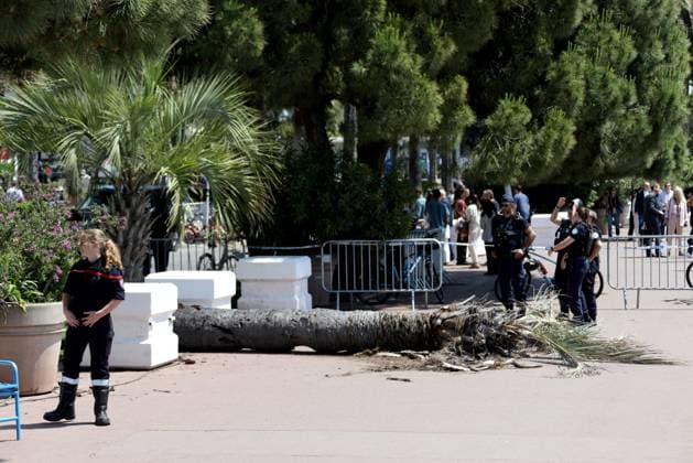 PHOTOCALL FESTIVAL CANNES PHOTOPQR NICE MATIN Justine Meddah Cannes 17 05 2025 FESTIVAL DE CANNES FAIT DIVERS le vent fort a fait tomber un palmier sur la croisette 1 blessé grave Cannes, France, may 17th 2025 because of violent wind, a palm tree fell and injured one person on La Croisette, during Cannes film festival Cannes France  Copyright: xPHOTOPQR NICExMATIN MAXPPPxJustinexMeddahx 20250517NIM3172 20250517NIM3175